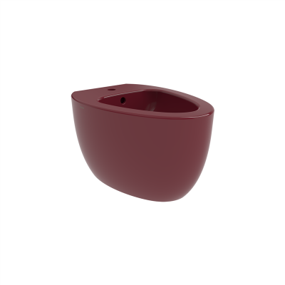 Bocchi Etna Asma Bide 54 cm P.Burgonya Bordosu - 2