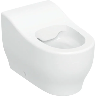 Geberit Bambini Küçük Çocuklar İçin Klozet Rimfree, 44 cm, Beyaz - 1